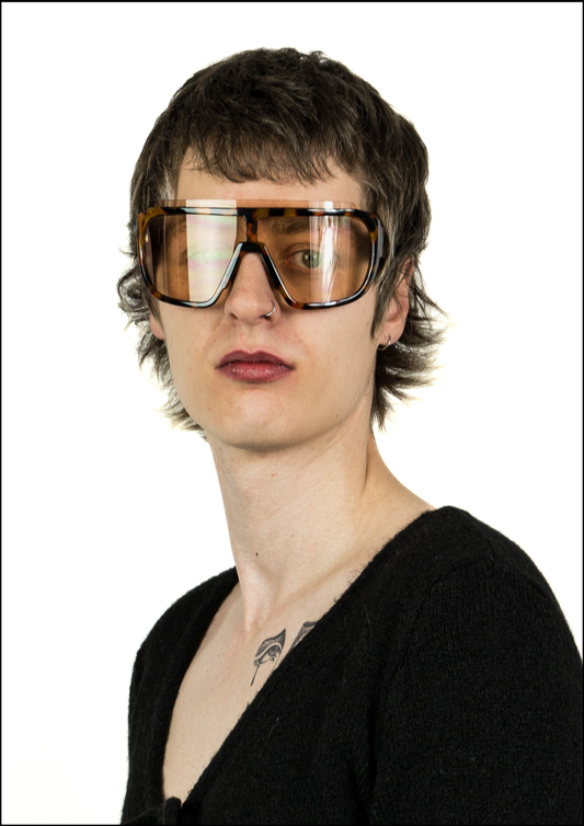 Statement Brown Frame Sunglasses